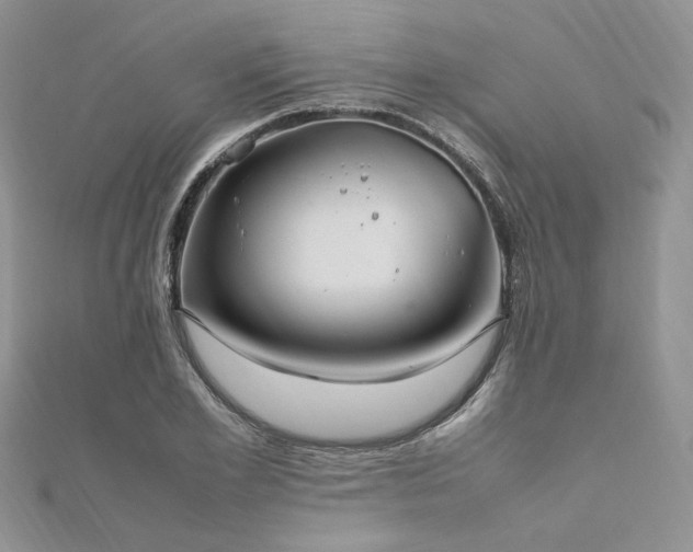X0000112010981200908031303