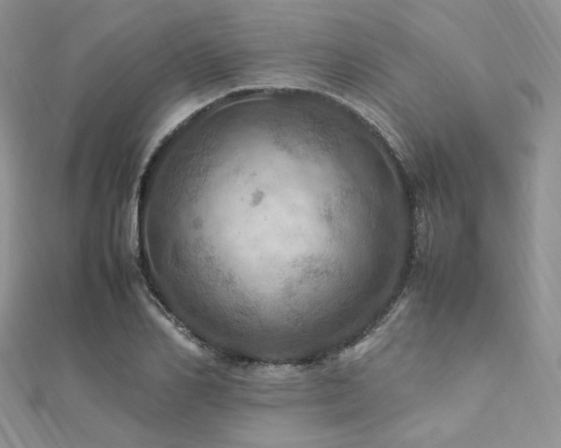 X0000112010982200908031303
