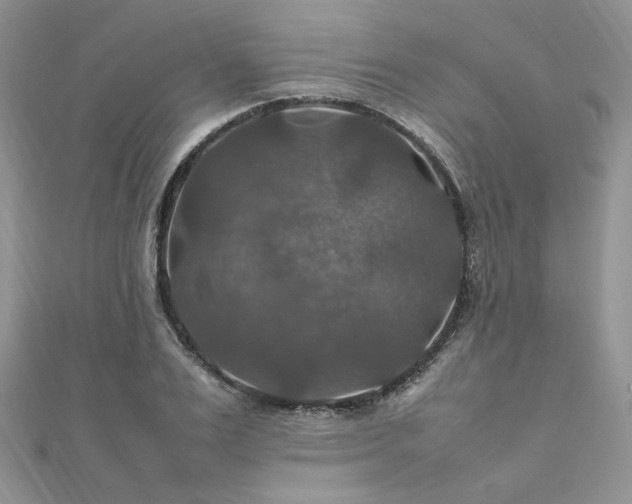 X0000112010983200908031303