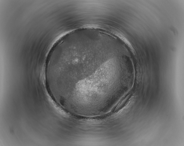 X0000112010984200908031303