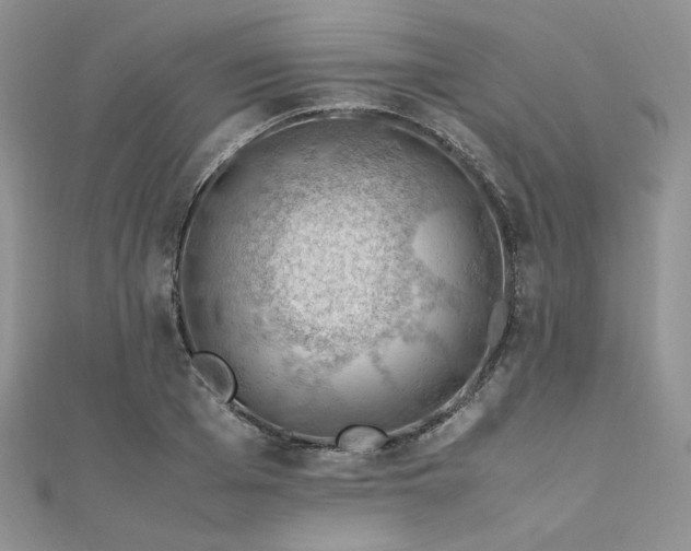 X0000112010985200908031303