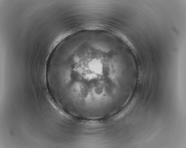 X0000112010986200908031303