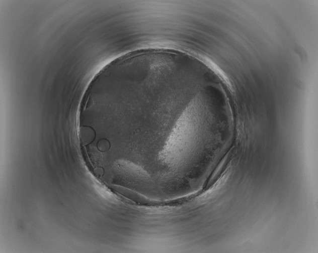 X0000112010988200908031303
