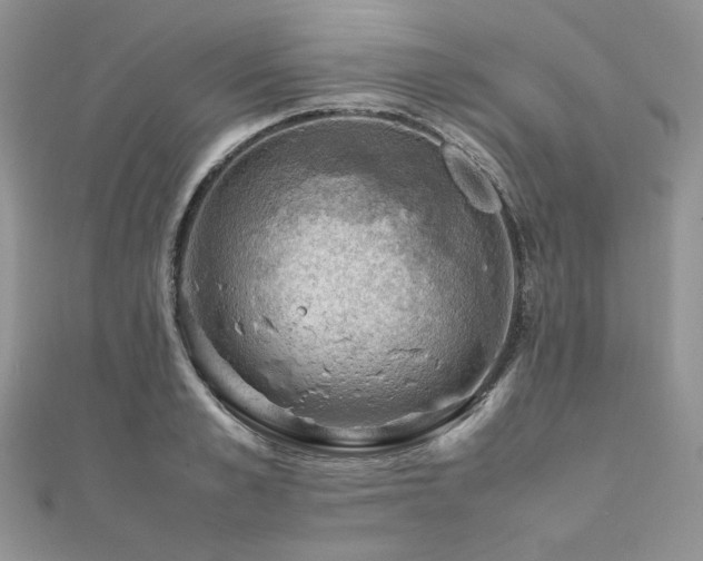 X0000112010989200908031303