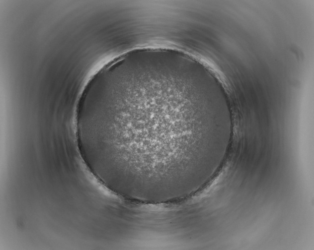 X0000112010990200908031303