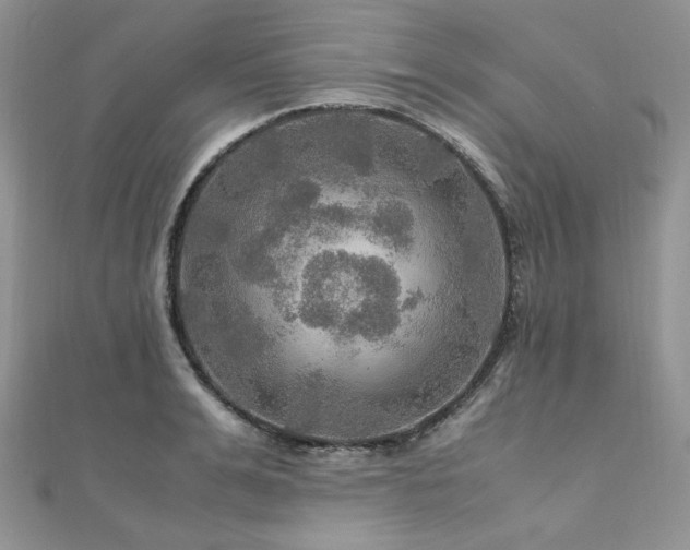 X0000112010991200908031303