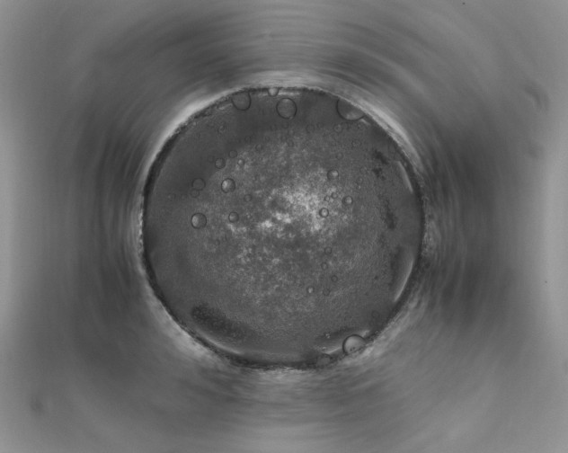 X0000112010992200908031303