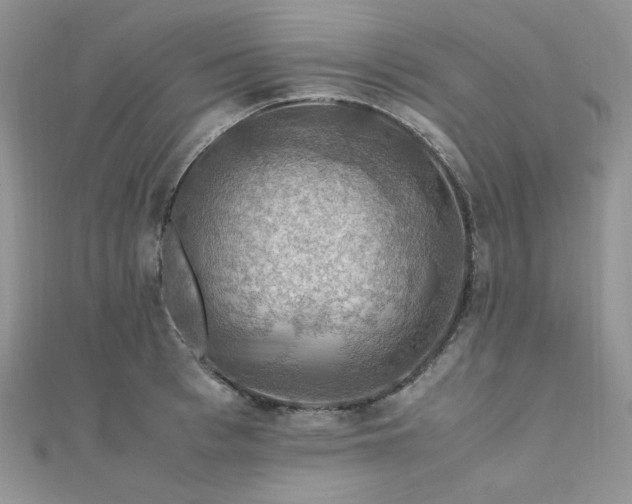 X0000112010993200908031303