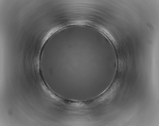X0000112010994200908031303