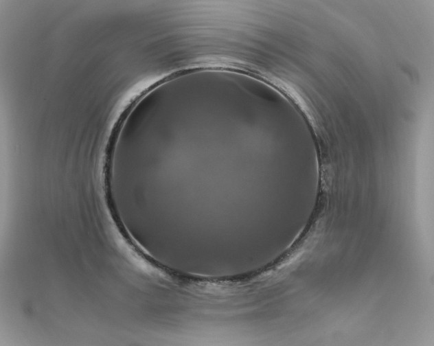 X0000112010995200908031303