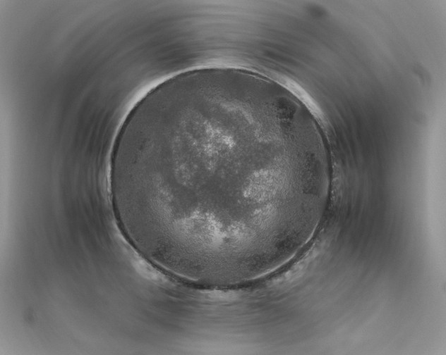 X0000112010996200908031303
