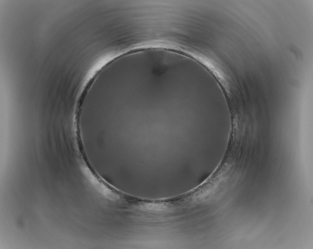 X0000112010998200908031303