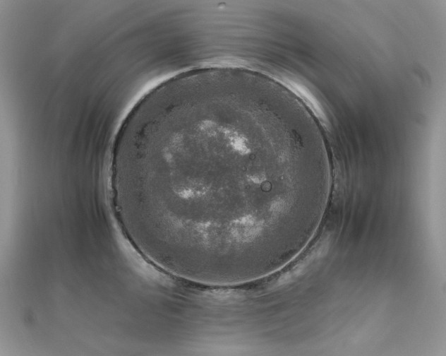 X0000112011000200908031303