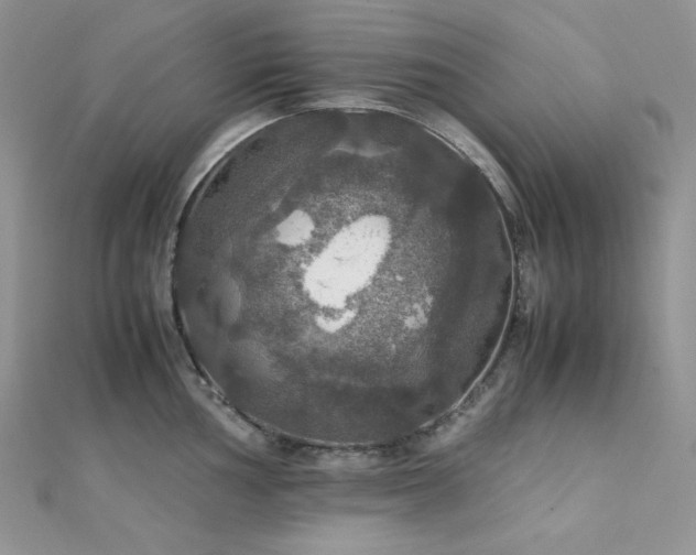 X0000112011002200908031303