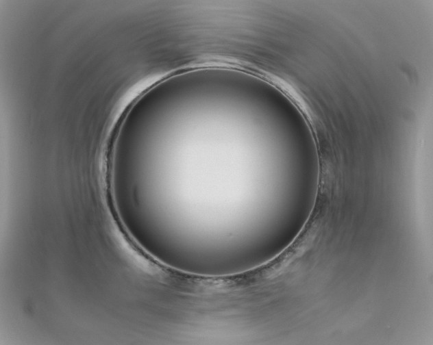 X0000112011003200908031303