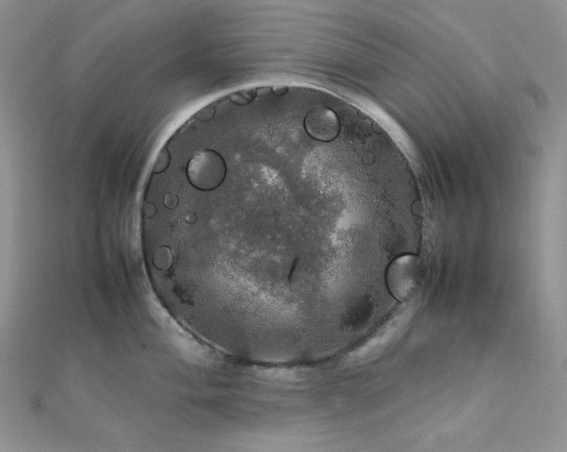 X0000112011004200908031303
