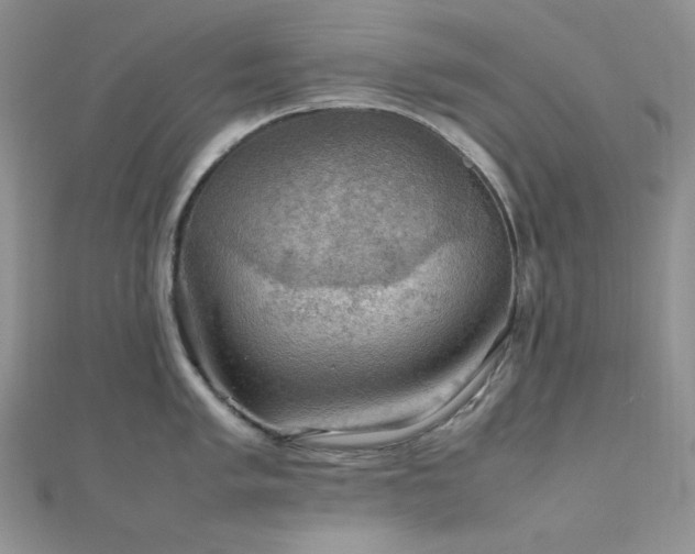 X0000112011005200908031303