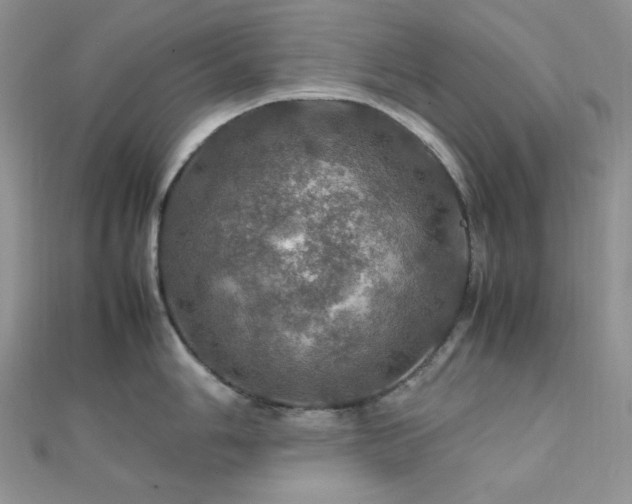 X0000112011006200908031303