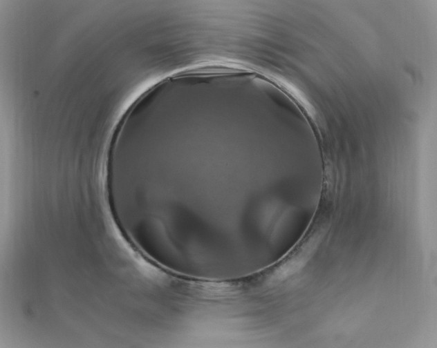 X0000112011007200908031303