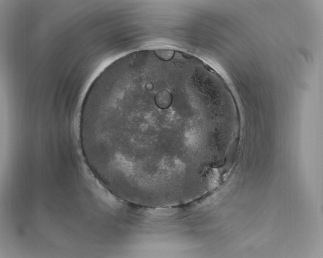 X0000112011008200908031303