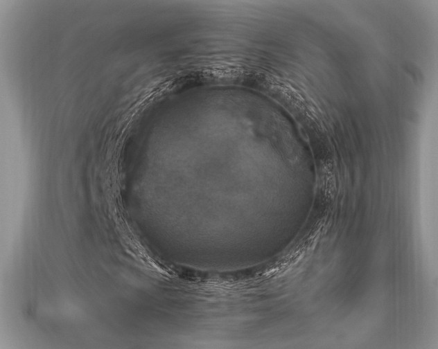 X0000112011009200908031302