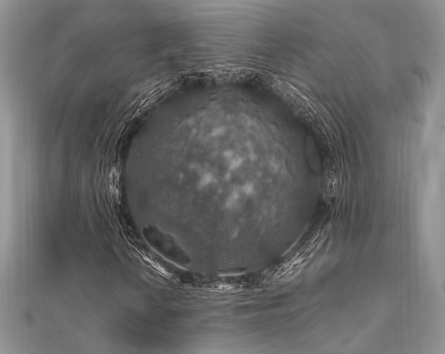 X0000112011010200908031302