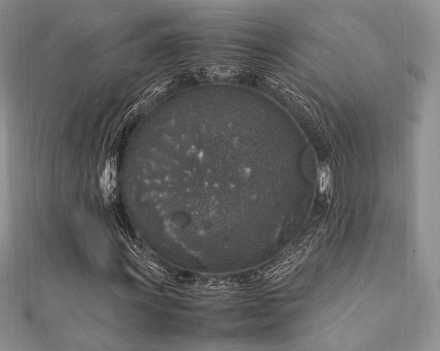 X0000112011011200908031302