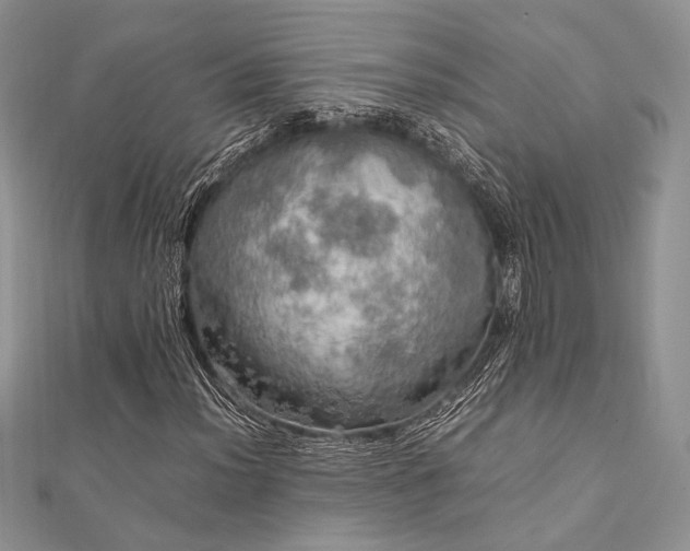 X0000112011012200908031302