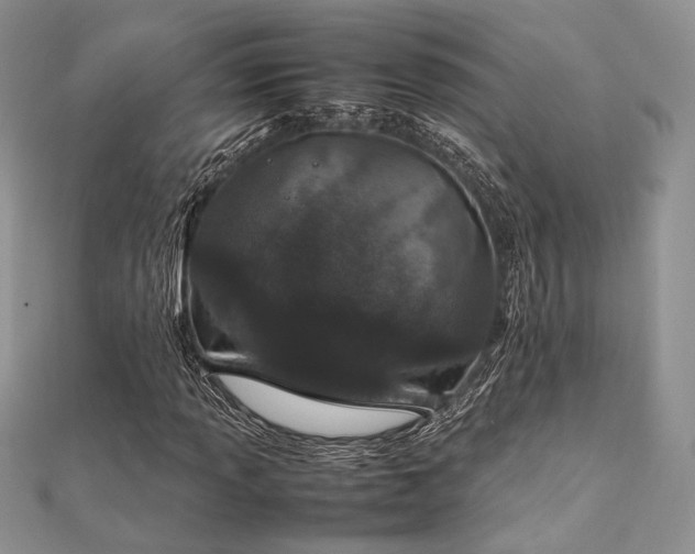 X0000112011013200908031302