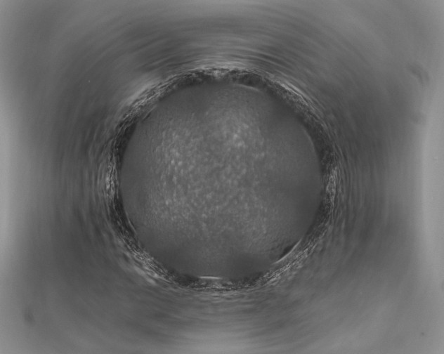 X0000112011014200908031302