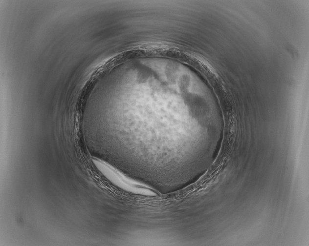 X0000112011016200908031302