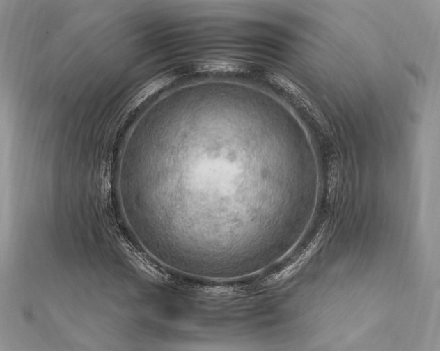 X0000112011017200908031302