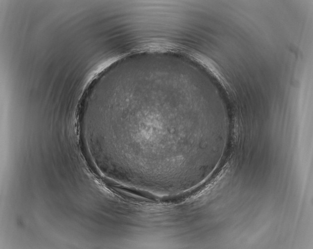 X0000112011018200908031302