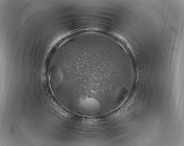 X0000112011019200908031302