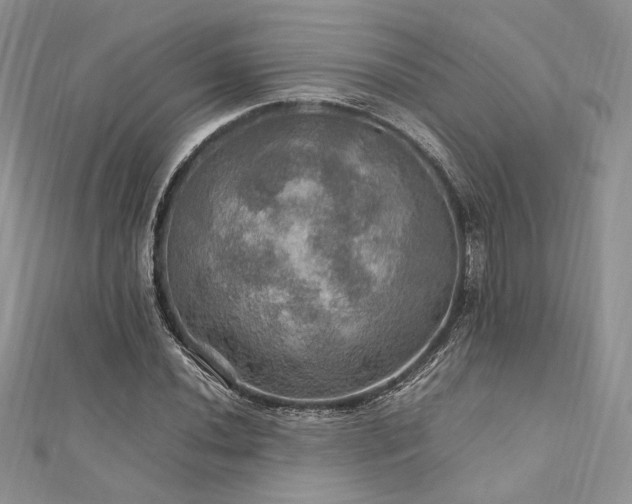 X0000112011020200908031302