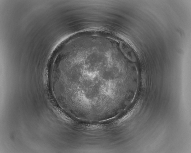 X0000112011021200908031302