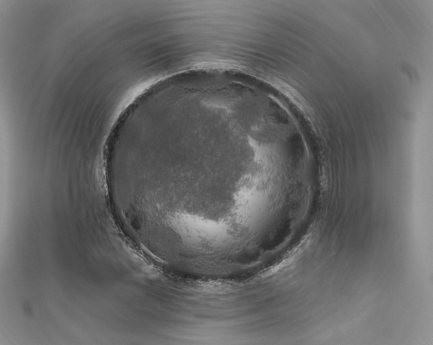 X0000112011022200908031302