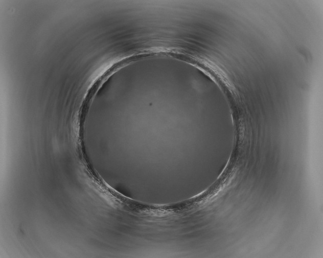 X0000112011023200908031303
