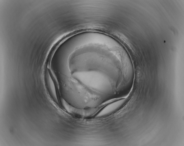 X0000112011024200908031303