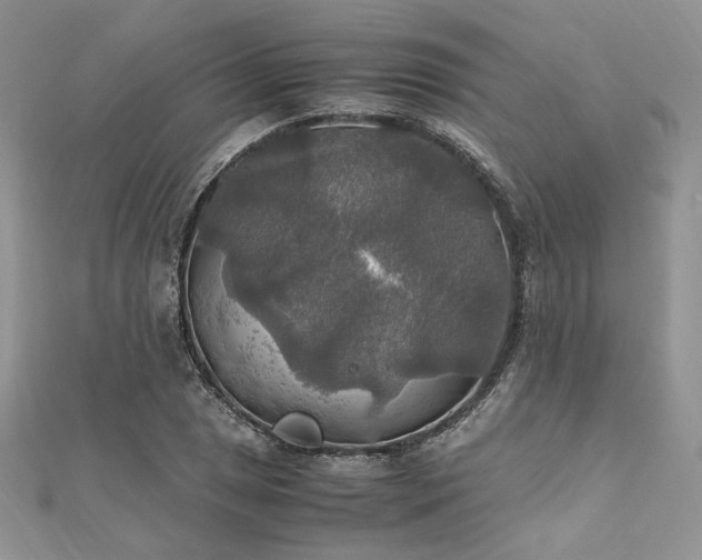 X0000112011025200908031303
