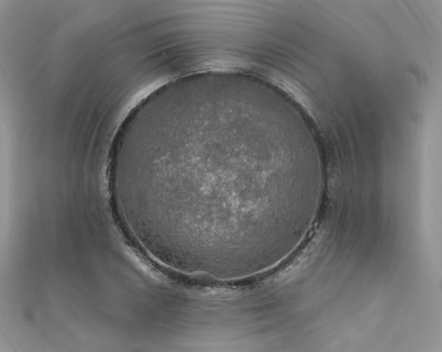 X0000112011026200908031303