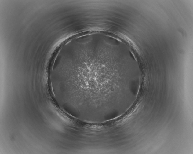 X0000112011027200908031303