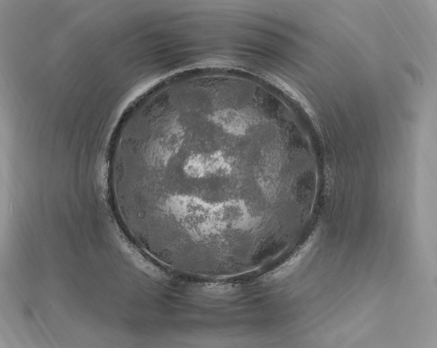 X0000112011029200908031303