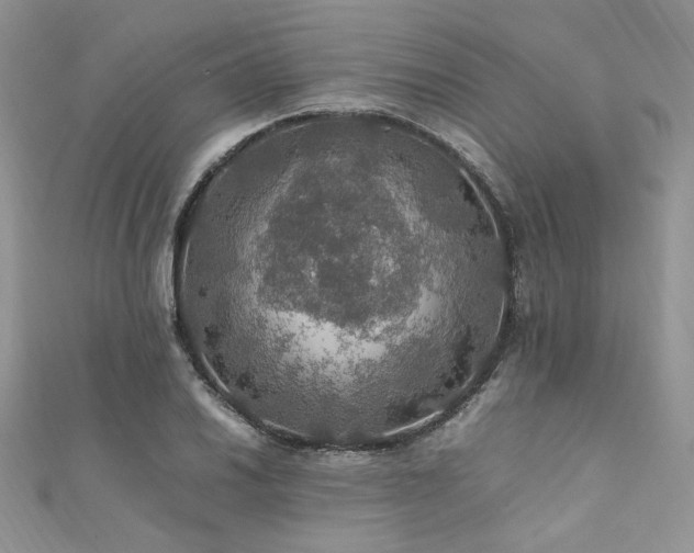 X0000112011030200908031303