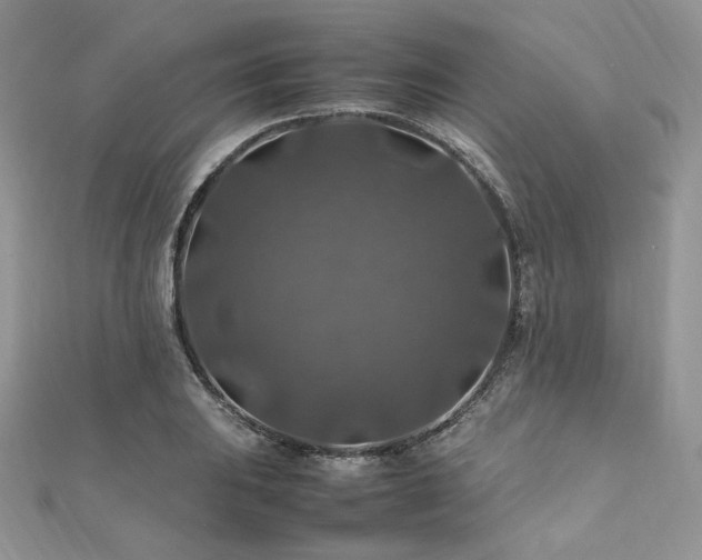 X0000112011031200908031303