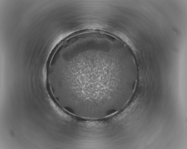 X0000112011032200908031303