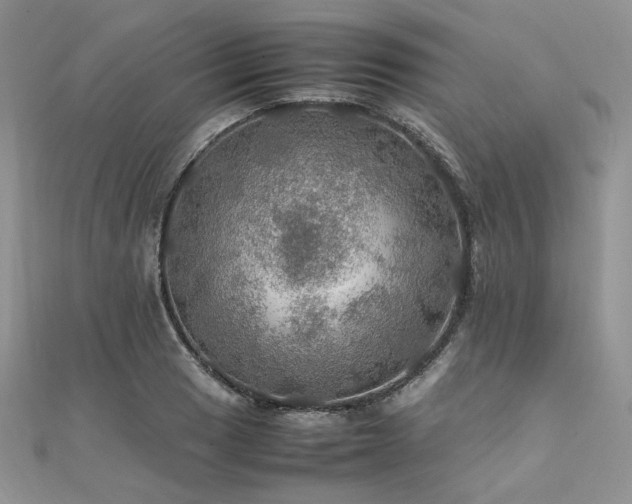 X0000112011033200908031303