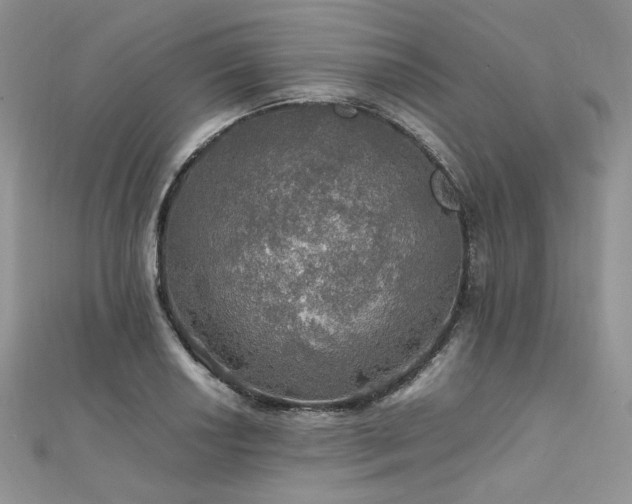 X0000112011034200908031303