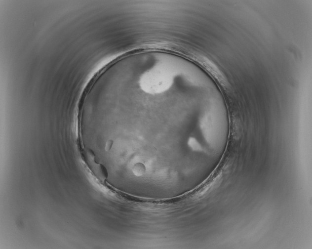 X0000112011036200908031303