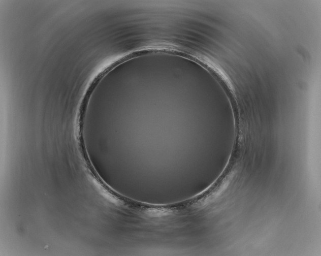 X0000112011037200908031303